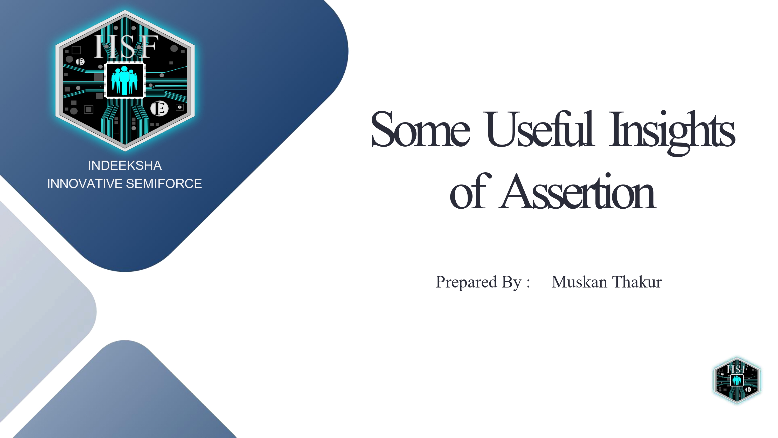 Understanding Assertions in System